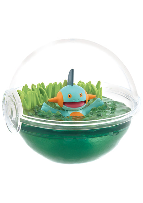 Pokémon Terrarium Collection 12, Box of 6