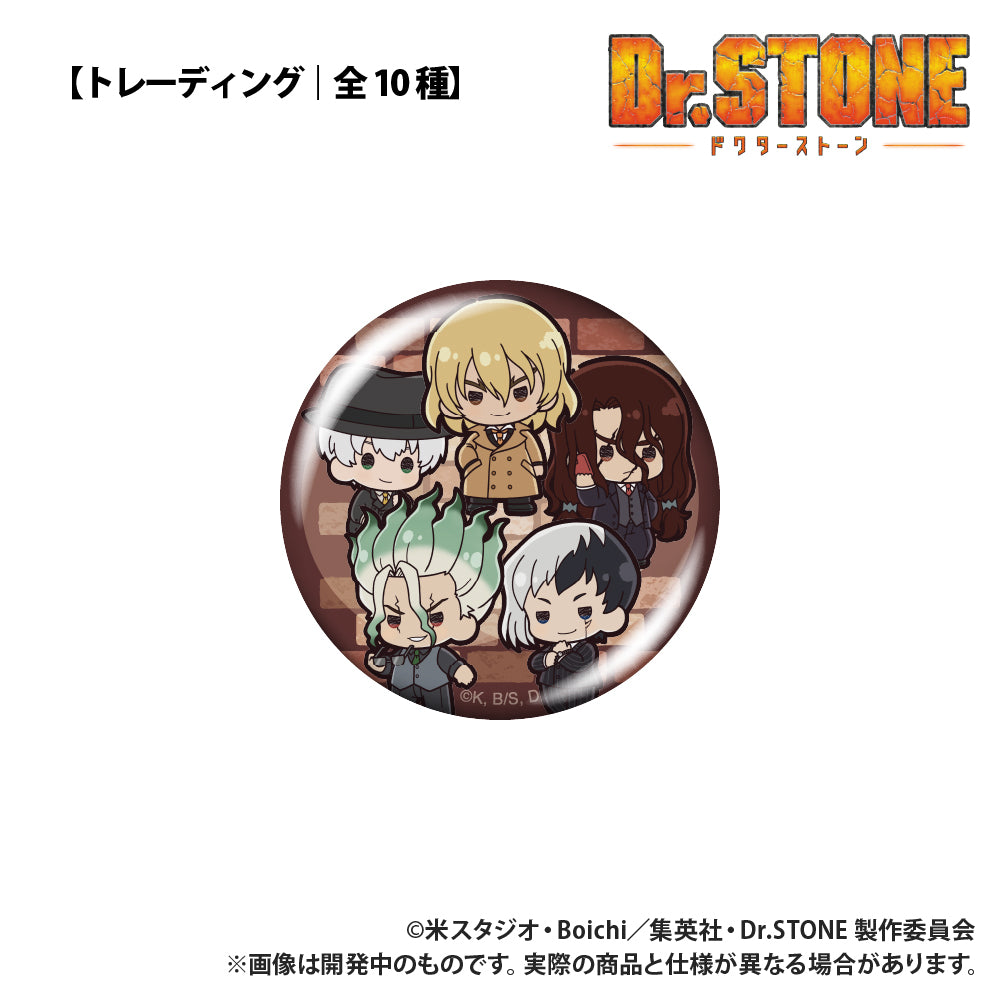 Dr. Stone Trading Can Badges: Petit-kyun Series