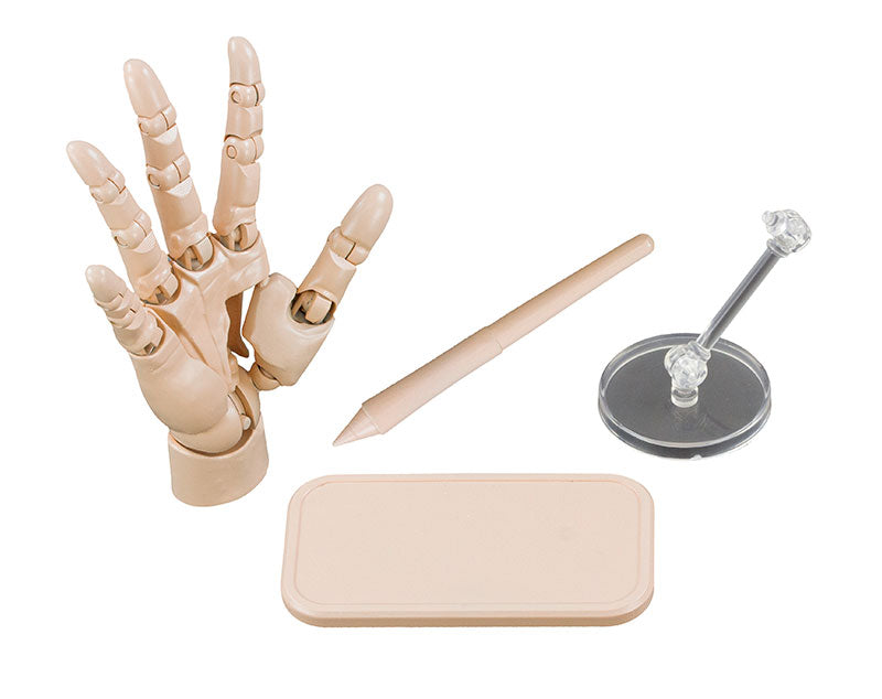 艺术家辅助物品 1/2 手模/R,每盒 2 个。