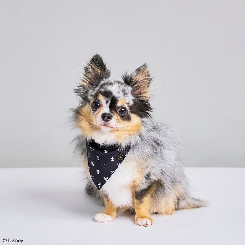 KINGDOM HEARTS PETs ペットバンダナ モノグラム