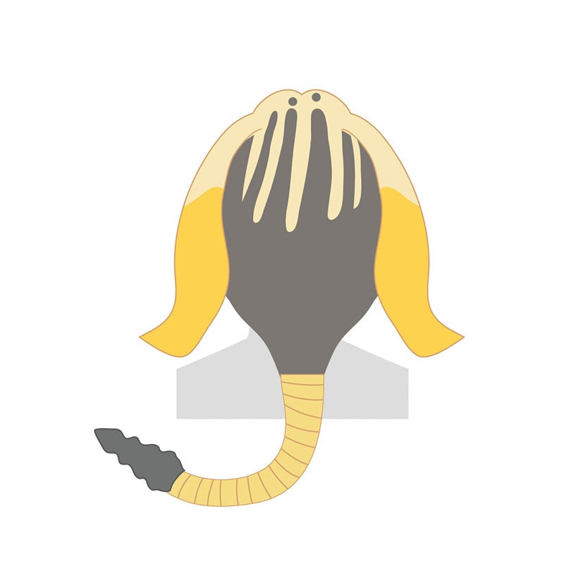 モンスターハンターワイルズ 着ぐるみ帽子 ハナショウジョウα