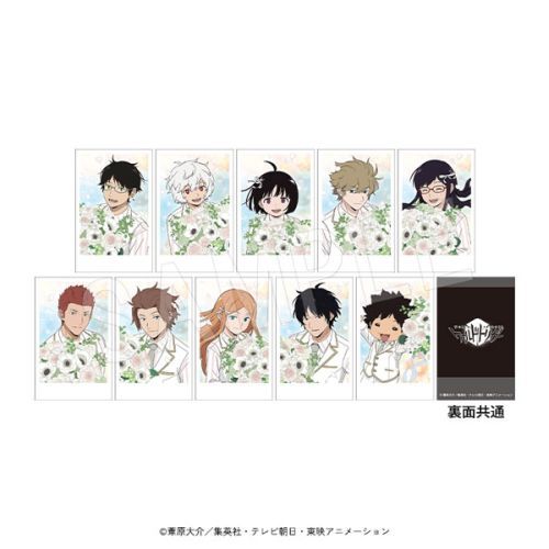 世界触发器波拉绍特系列花束 10 件盒装