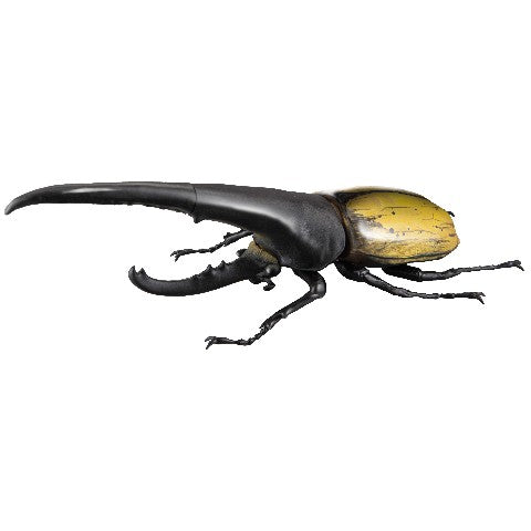 1/1 Hercules beetle Ver2.0 (rerelease) 4 pieces/box