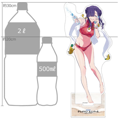 グリッドマン ユニバース 描き下ろし特大アクリルスタンド （ひめ／水着）