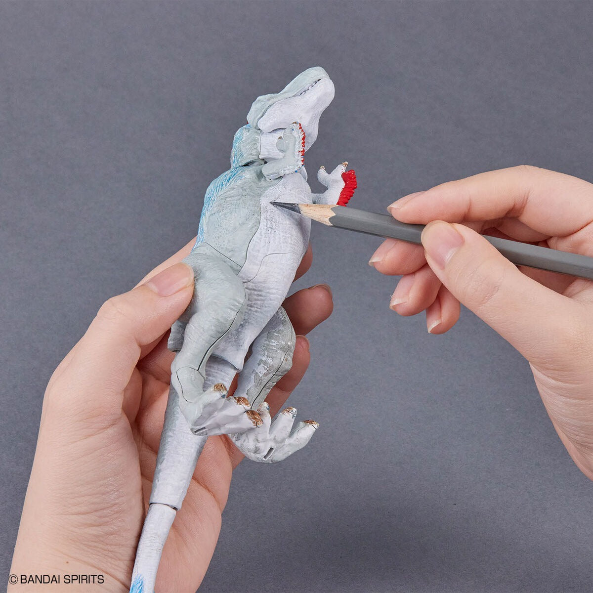 拼装恐龙模型 暴龙绘画版