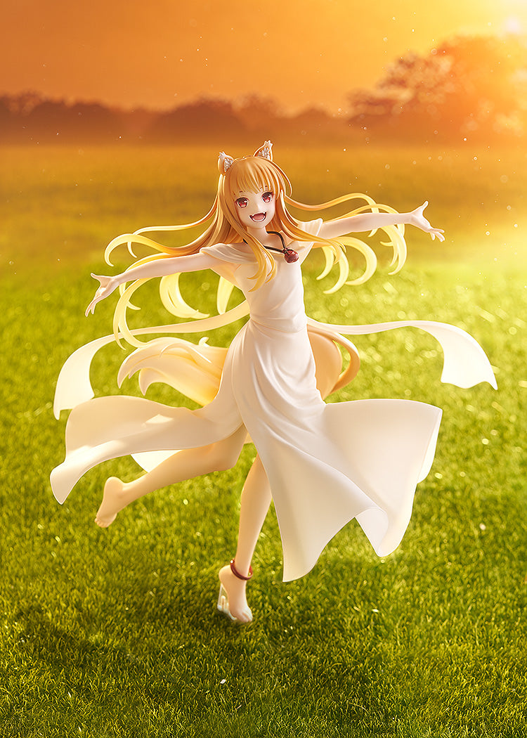 狼と香辛料 MERCHANT MEETS THE WISE WOLF ホロがいっぱい