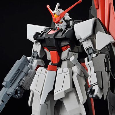 HG 기동전사 강철탄 SEED FREEDOM 무라상어개조 1/144