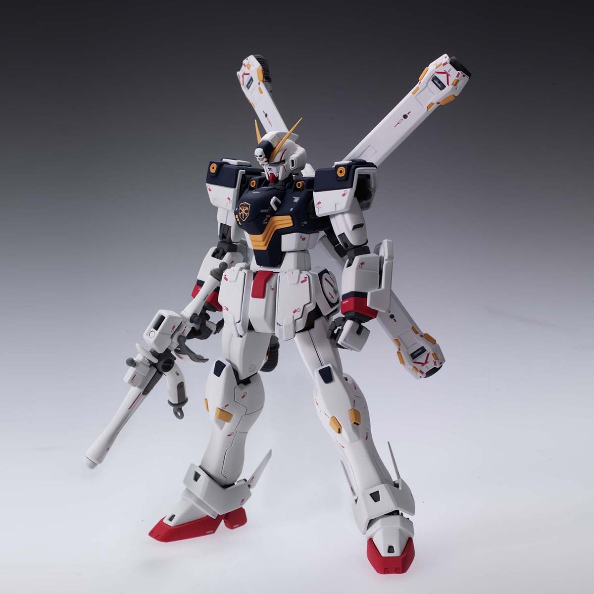 MG クロスボーンガンダム / HG 01ガンダム MG クロスボーンガンダム / HG 01ガンダム MG 機動戦士クロスボーン