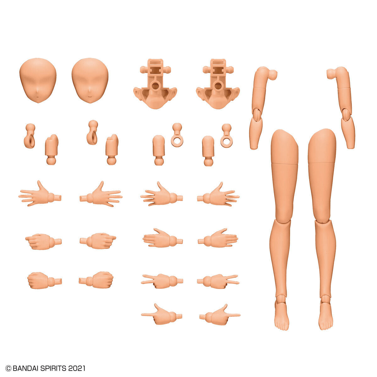 30MS / 30 Minutes Sisters Optional Body Parts Arm Parts & Leg Parts [Color C]