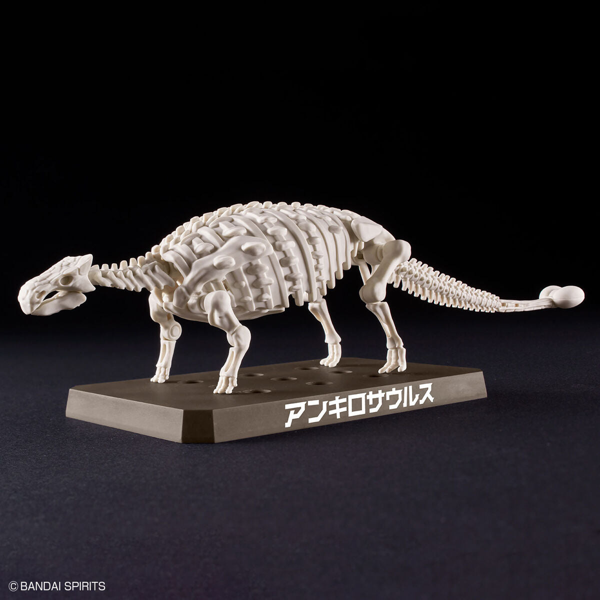 Plannosaurus ankylosaurus – viviON BLUE