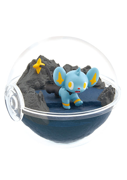 ポケットモンスター テラリウムコレクション12 6個入BOX