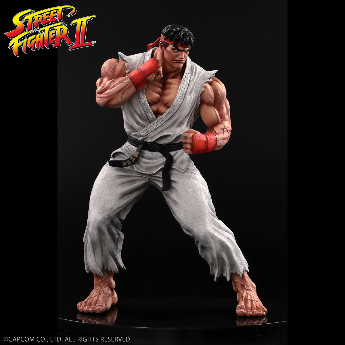 THE KING OF COLLECTORS'24 Street Fighter No.9 「류」(통상 칼라)