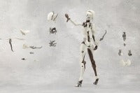 무한의 만남 메가로마리아 시커커