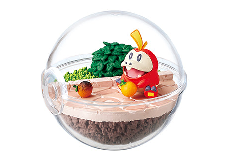 Pokémon Terrarium Collection EX ~Running to the World of Pardea~ Box of 6