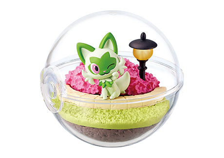 Pokémon Terrarium Collection EX ~Running to the World of Pardea~ Box of 6