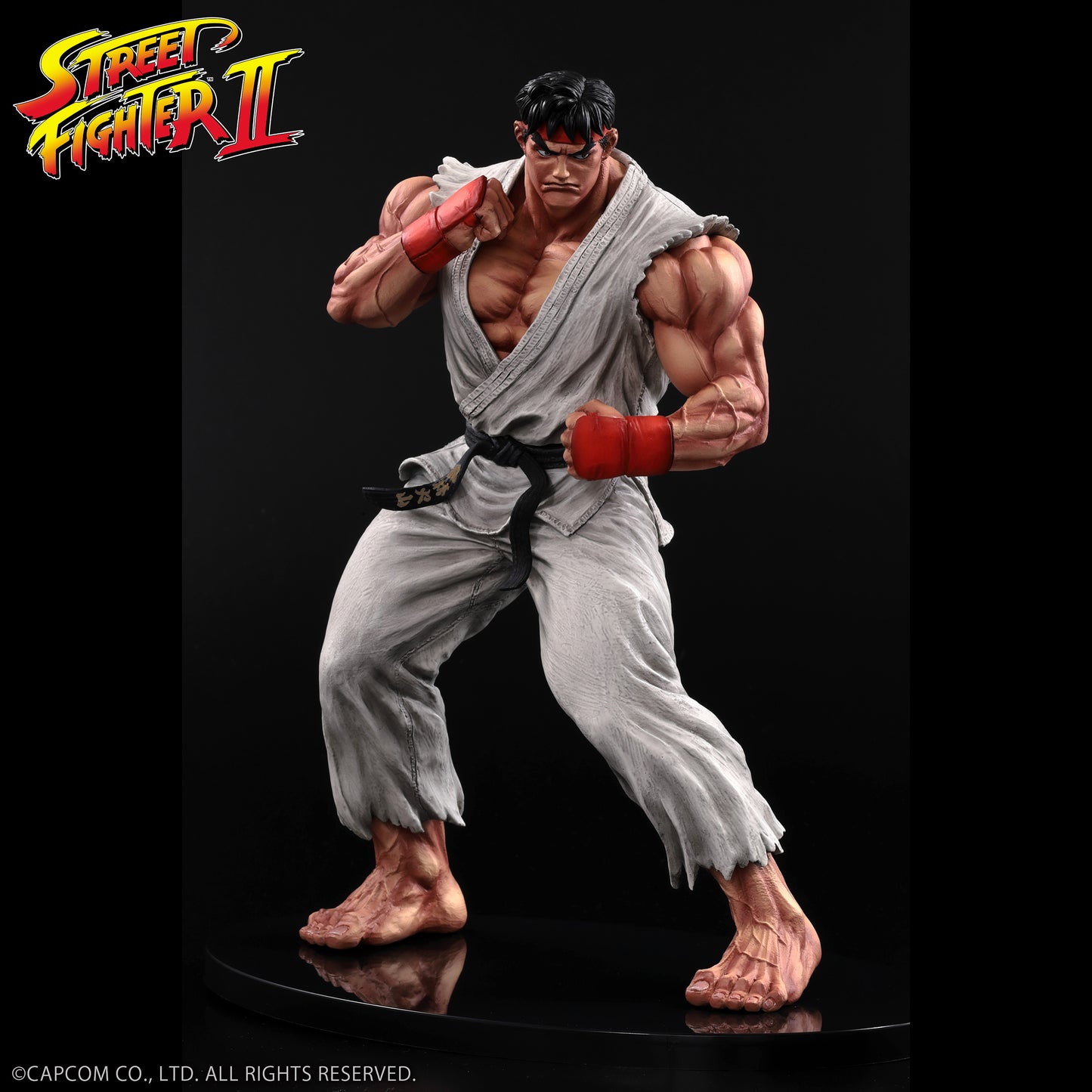 THE KING OF COLLECTORS'24 Street Fighter No.9 「류」(통상 칼라)