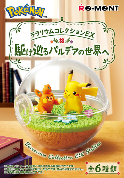 Pokémon Terrarium Collection EX - Running to the World of Pardea - 6盒装。