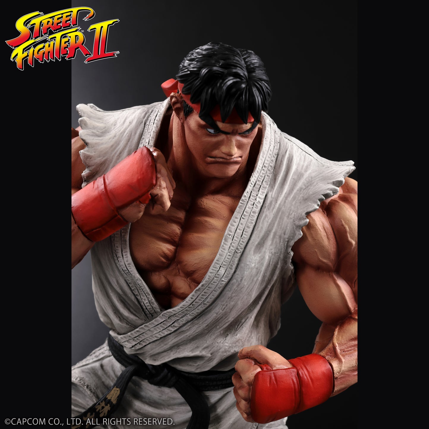 THE KING OF COLLECTORS'24 Street Fighter No.9 「류」(통상 칼라)