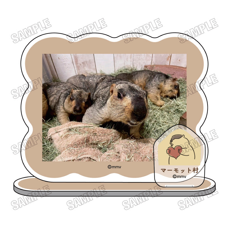 土拨鼠咖啡馆“土拨鼠村”迷你亚克力立体模型 [B]