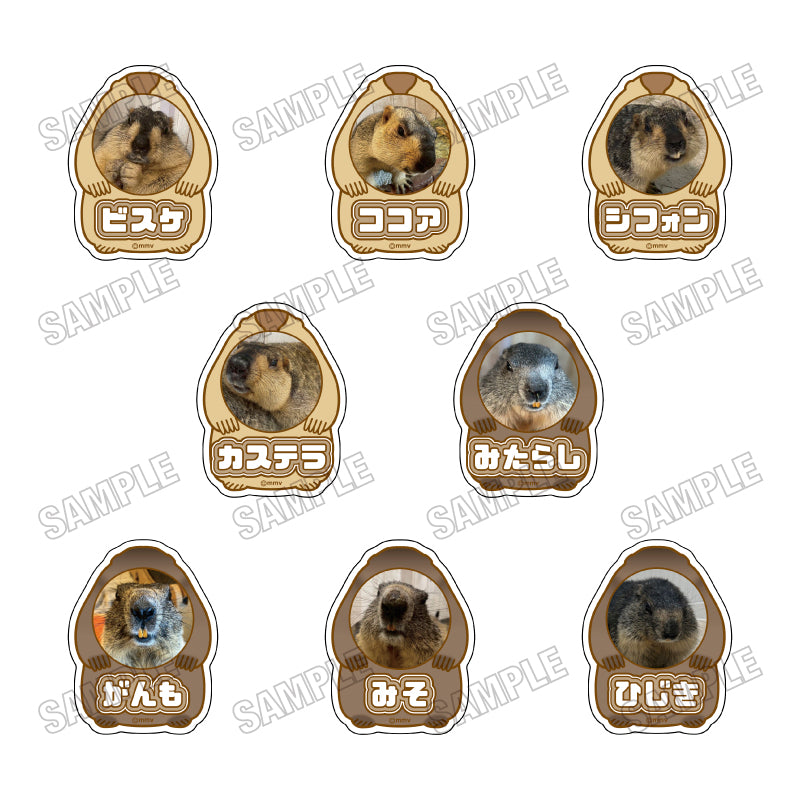 [Single item/BOX] Marmot Cafe "Marmot Village" Acrylic name badge collection [vol.2] BOX of 8 pieces