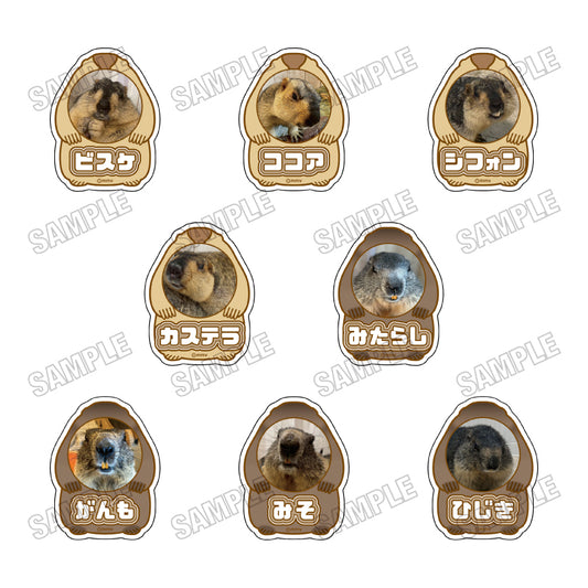 [Single item/BOX] Marmot Cafe "Marmot Village" Acrylic name badge collection [vol.2] BOX of 8 pieces