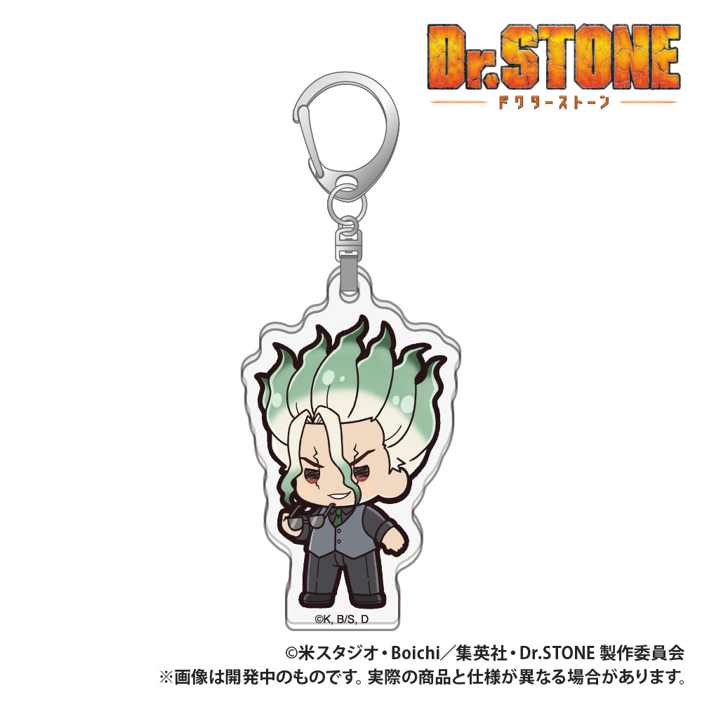 Dr. Stone Die-cut Acrylic Key Chain - Petit-kyun Series - Senku Ishigami