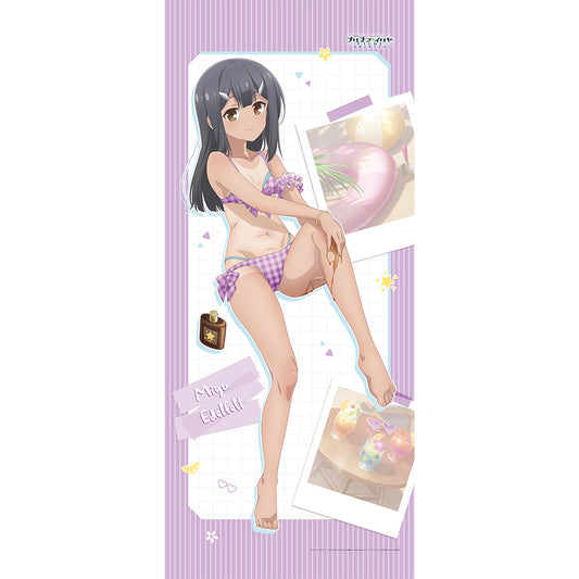 Movie version “Fate/kaleid liner Prisma Illya Licht "Girl with No Name" Newly drawn oversized tapestry (Miyu/tan)