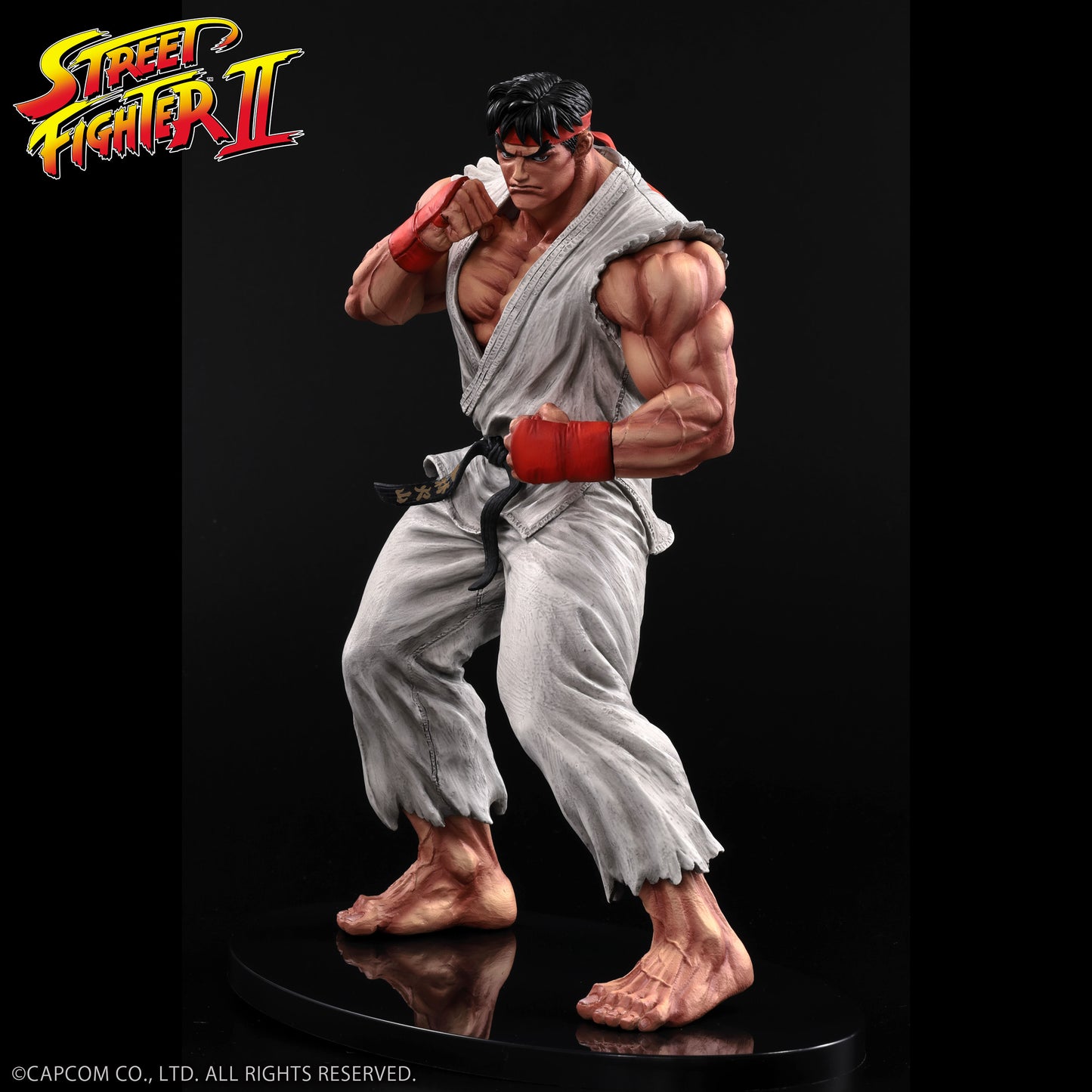 THE KING OF COLLECTORS'24 Street Fighter No.9 「류」(통상 칼라)