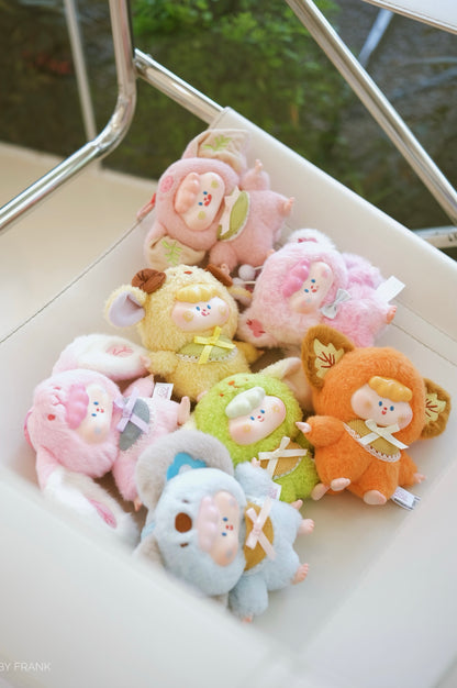 DiMieMieMie(디미에미에) 후시키나욘키노우타 시리즈 소프트 봉제인형 블라인드 박스 6개입 BOX