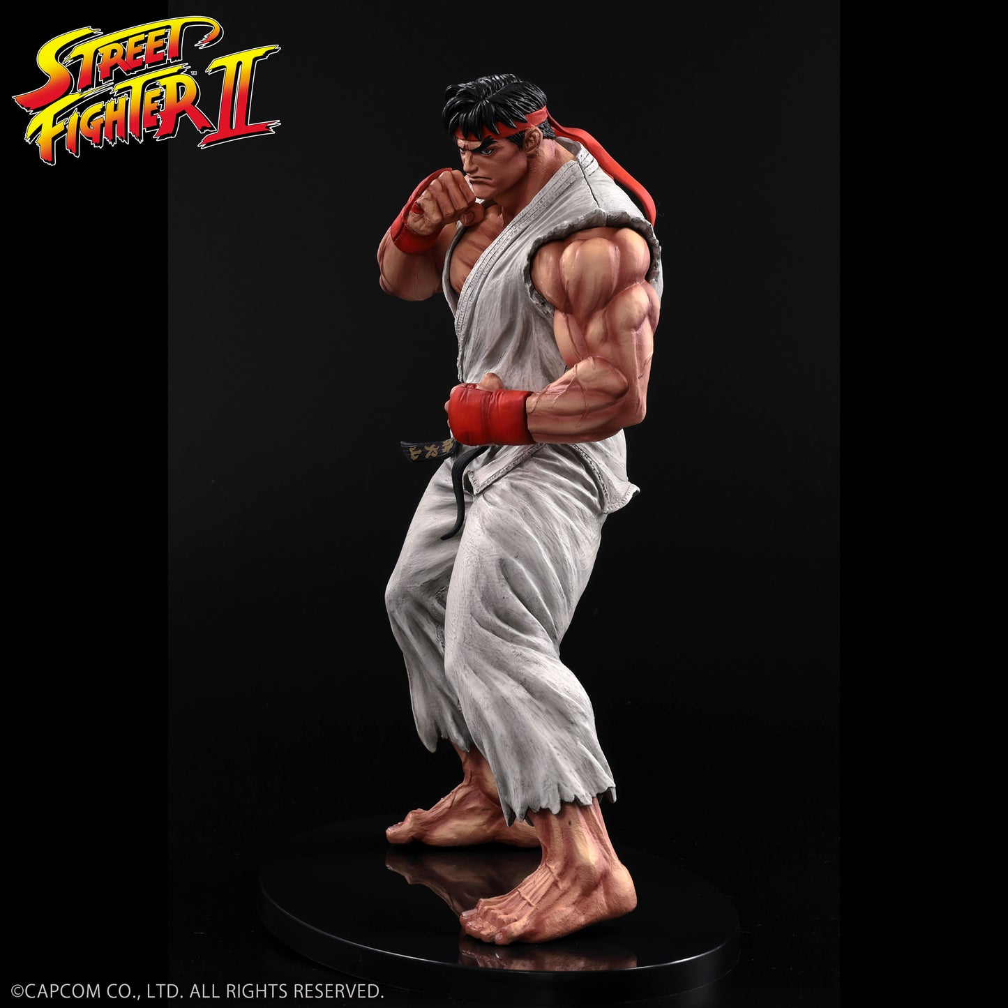 THE KING OF COLLECTORS'24 Street Fighter No.9 「류」(통상 칼라)
