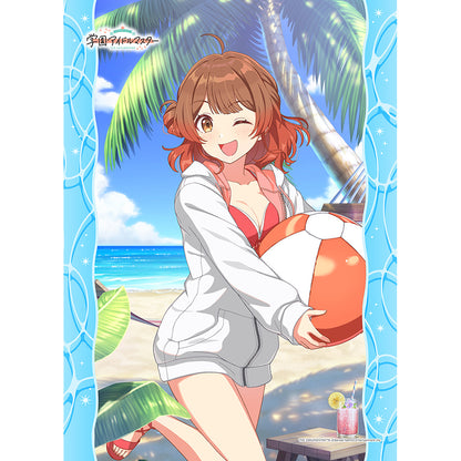 School偶像大師 B2 掛毯（夢花見/你和半藍）W 絨面革