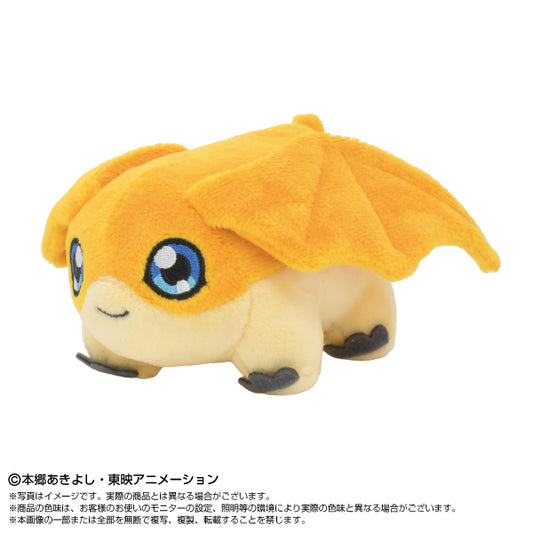 디지몬어드벤처 Chibi 봉제인형 파타몬