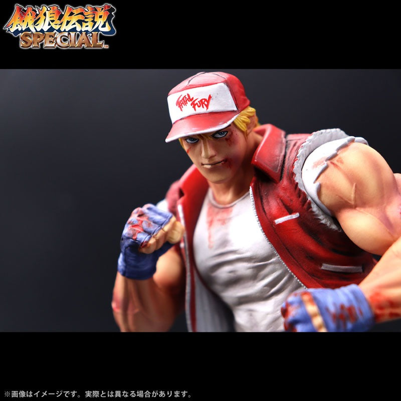 THE KING OF COLLECTORS'24 EX 「テリー・ボガード」（HGダメージ Ver