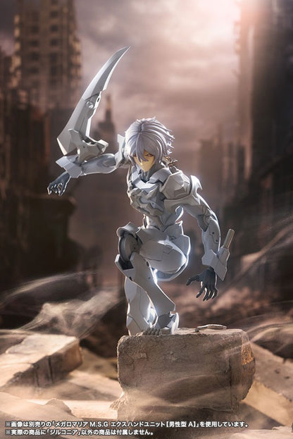 无限邂逅 Megalomaria 锆石