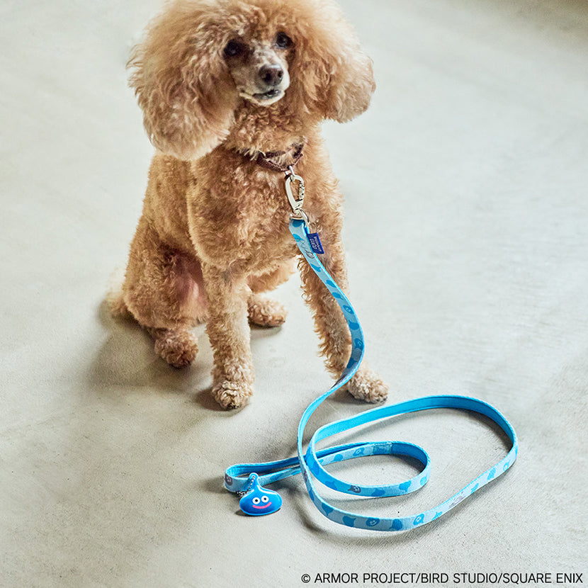 Dragon Quest Pets - Pet Leash with Slime Reflector