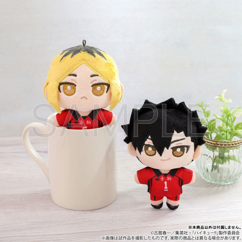 Hi-Q！ 毛絨伙伴 (毛絨玩具) Tetsuro Kuroo