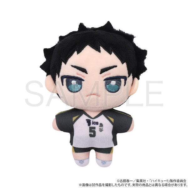 Haikyu! Plush Pal (Plush Toy) Akashiashi Kyoji