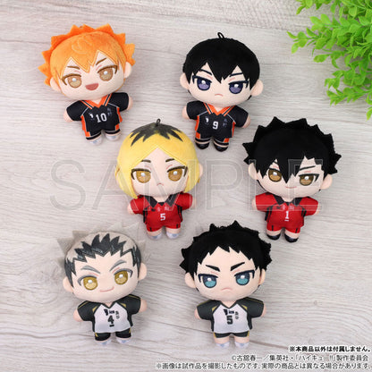Haikyu! Plush Pal (Plush Toy) Akashiashi Kyoji
