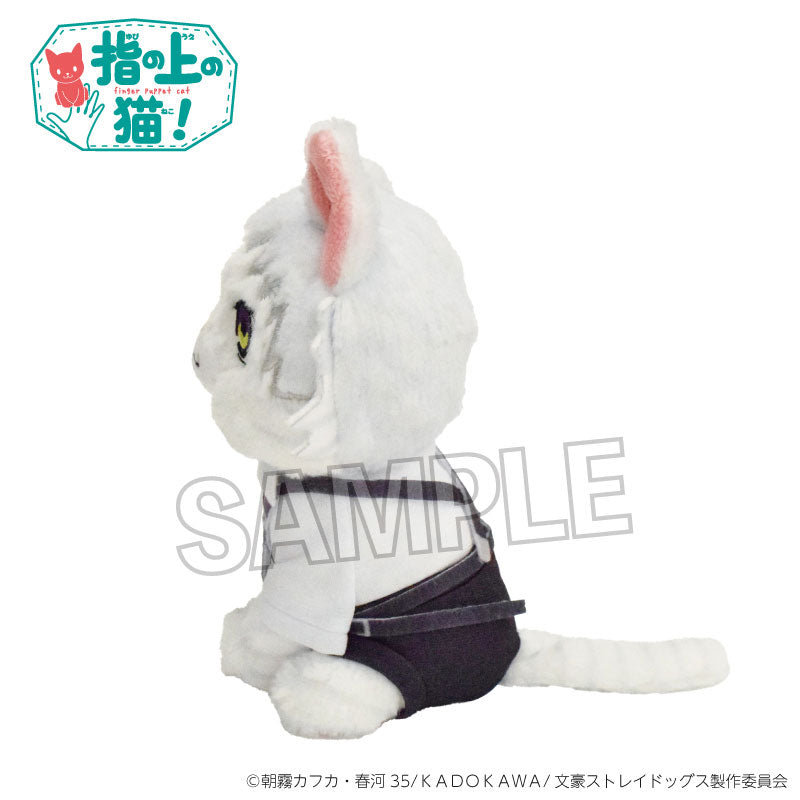 流浪狗 你手指上的猫 中岛敦志