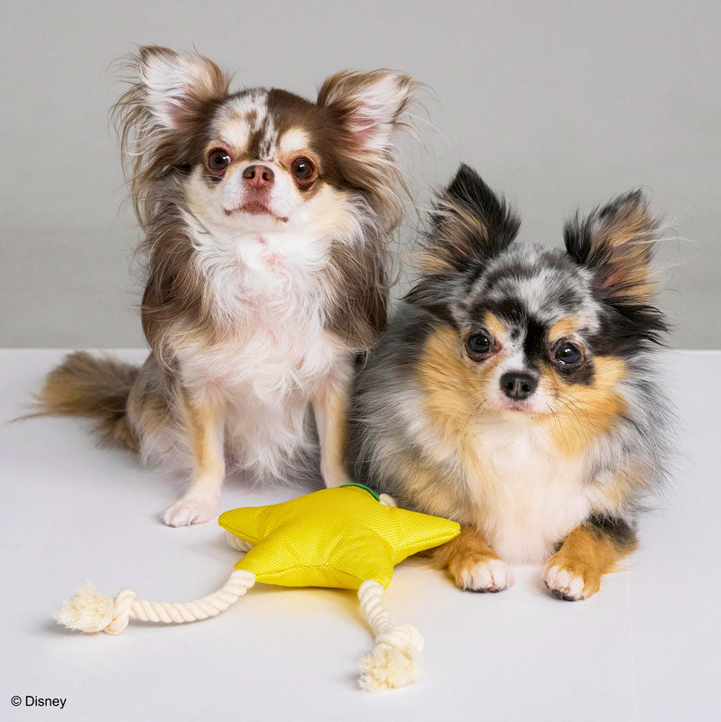 KINGDOM HEARTS PETs ロープトイ for Dog パオプの実