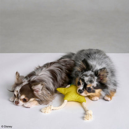 KINGDOM HEARTS PETs ロープトイ for Dog パオプの実