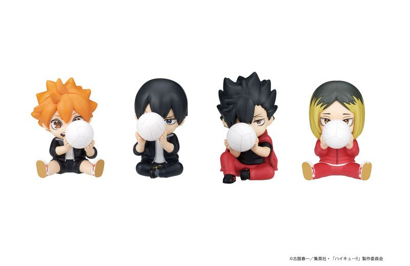 PERIHAPI Hide & Seek Hide & Seek Haikyu! Karasuno, Otogoma 8pcs Box