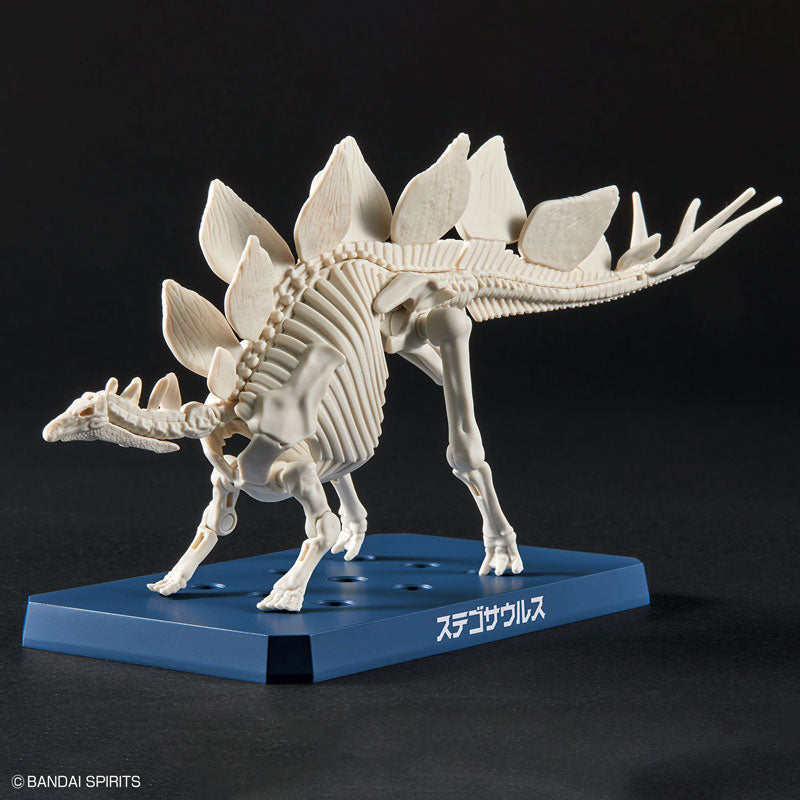 プラノサウルス ステゴサウルス – viviON BLUE