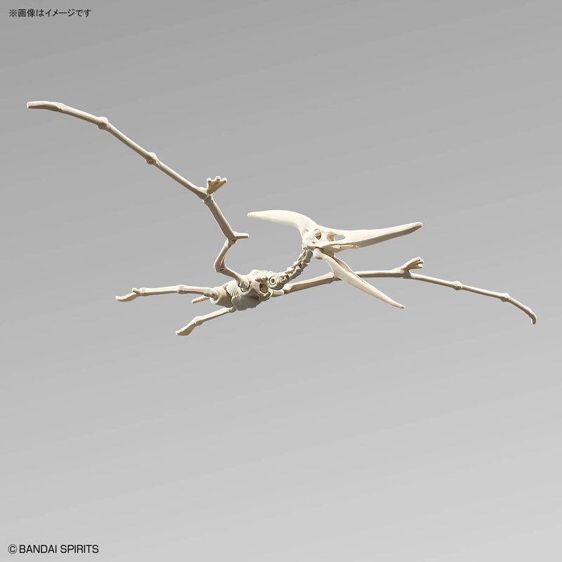 バンダイ　プラノサウルス 陸海空恐竜セット✖️3 バンダイ プラノサウルス 陸海空恐竜セット✖️3 プラノサウルス