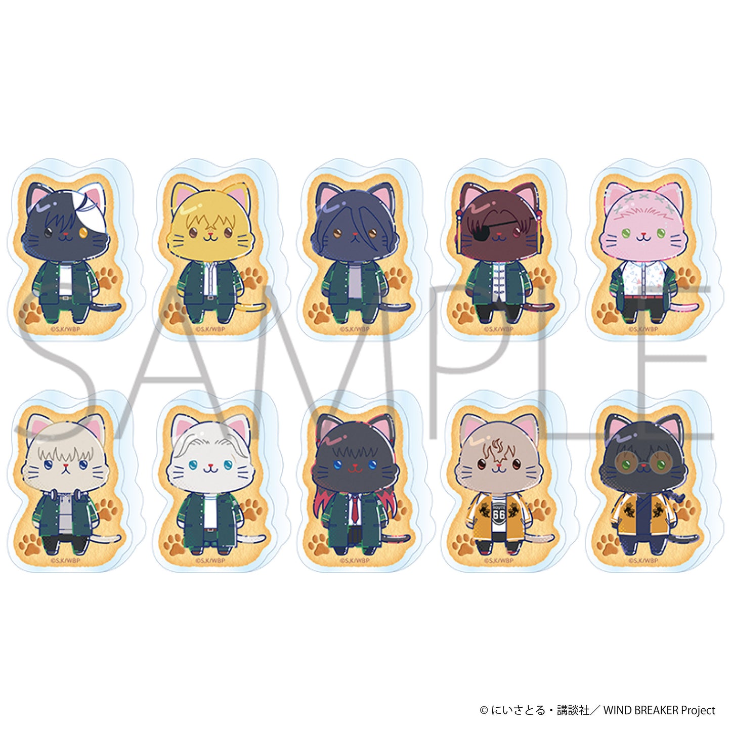 WIND BREAKER withCAT 일러스트 Ver. 코롯토 아크릴 피규어 컬렉션 10개 BOX