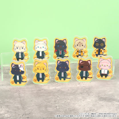 WIND BREAKER withCAT 일러스트 Ver. 코롯토 아크릴 피규어 컬렉션 10개 BOX