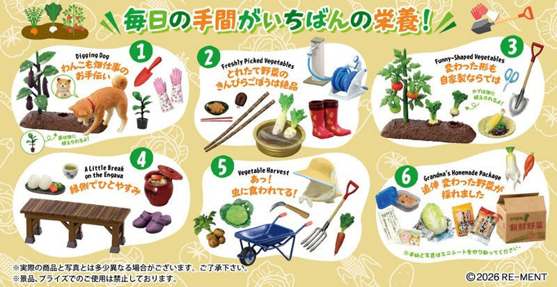 ぷちサンプルシリーズ おいしい野菜の育てかた – viviON BLUE