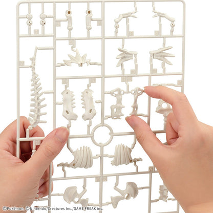 寶可夢模型收藏 化石寶可夢系列 恰吉羅斯