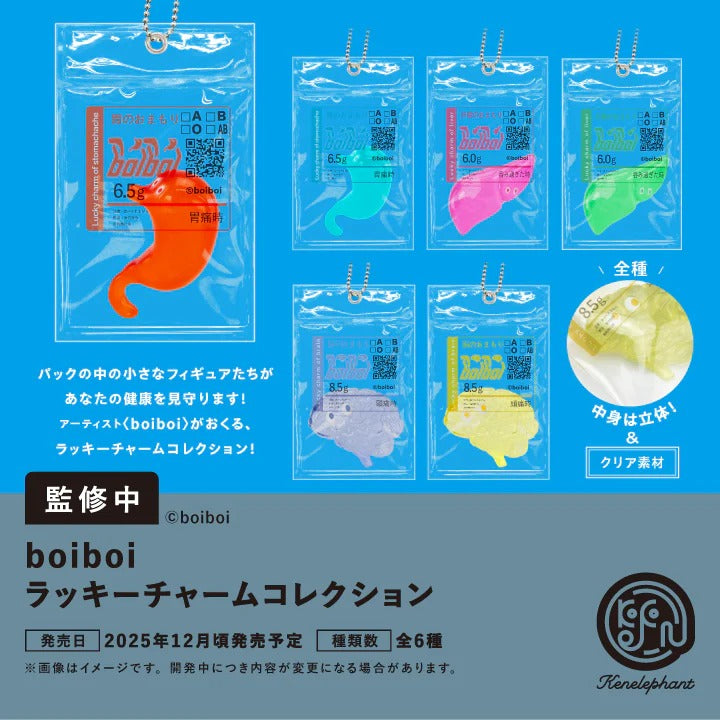 boiboi ラッキーチャームコレクション  12個入BOX