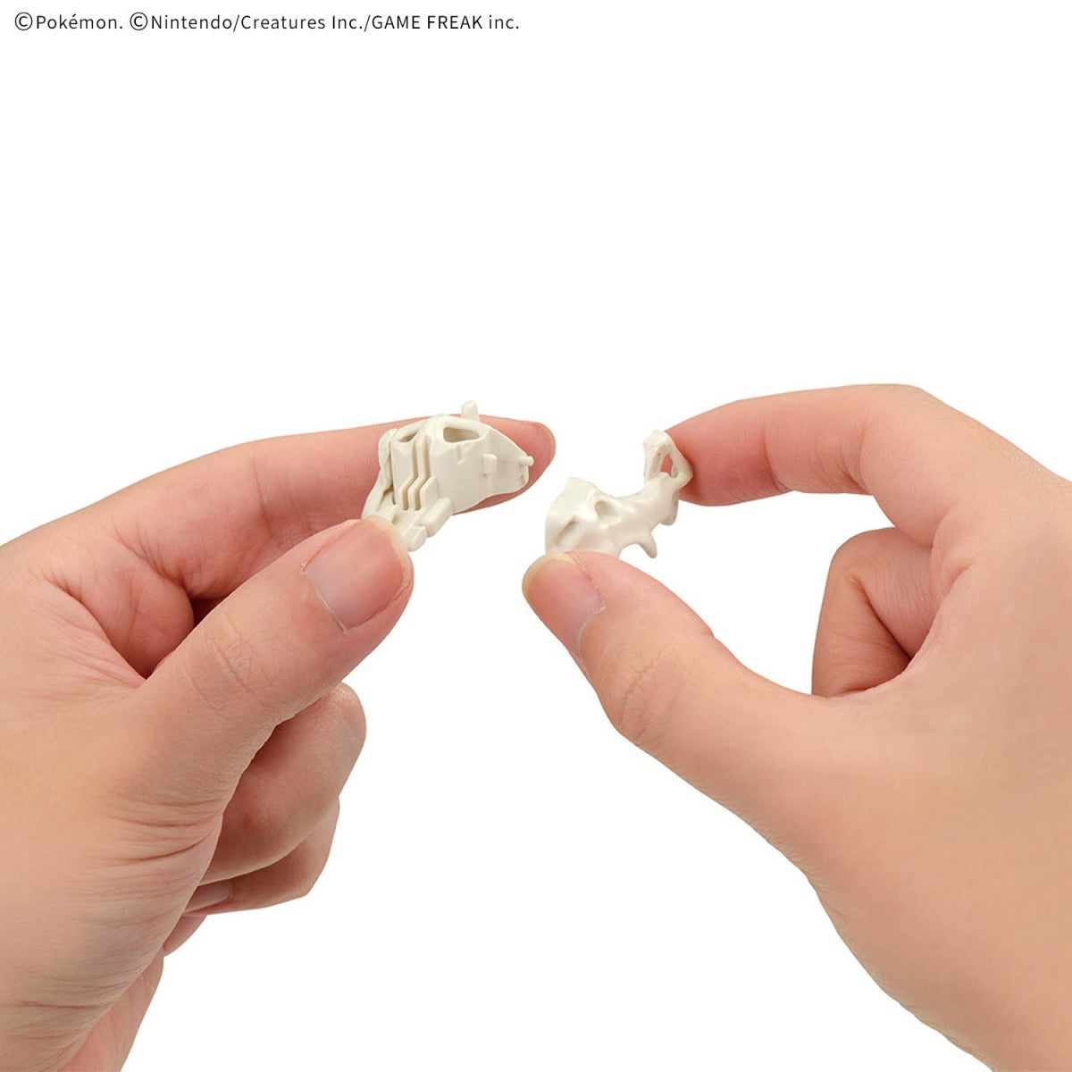 寶可夢模型收藏 化石寶可夢系列 恰吉羅斯